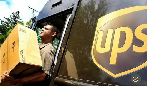 苦撐7年,一夜破產(chǎn) 順豐的 親兒子 ,徹底被拋棄了